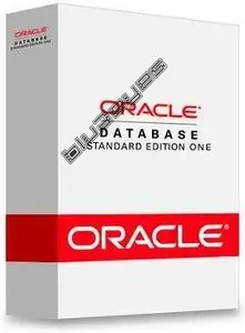 Oracle Database 10g: Administration Workshop I ,II,SQL Fundamentals Class- 10CD