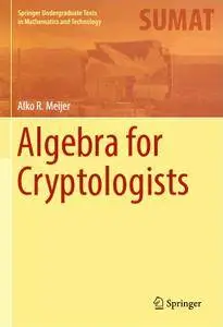 Algebra for Cryptologists (Springer Undergraduate Texts in Mathematics and Technology)