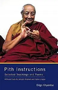 Pith Instructions: Selected Teachings and Poems