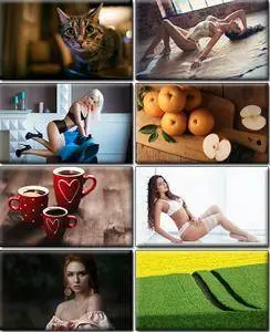 LIFEstyle News MiXture Images. Wallpapers Part (1248)