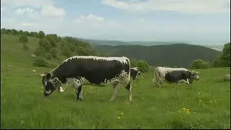 (Arte) La vraie nature des Vosges (2011)