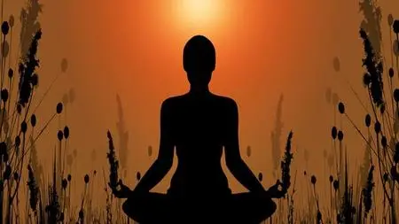 Mindfulness Life Coach Certification