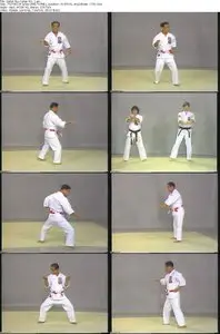 Isshin Ryu Karate with Master Angi (vol. 1-5)