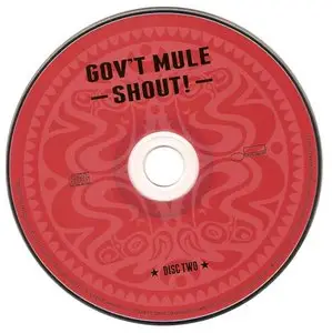 Gov't Mule - Shout! (2013)