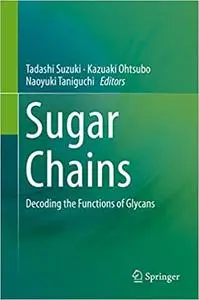 Sugar Chains: Decoding the Functions of Glycans