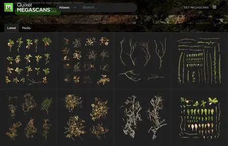 Quixel Megascans Studio 0.922 with Assets
