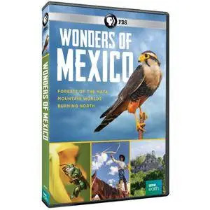 PBS - Wonders of Mexico: Forests of the Maya (2018)