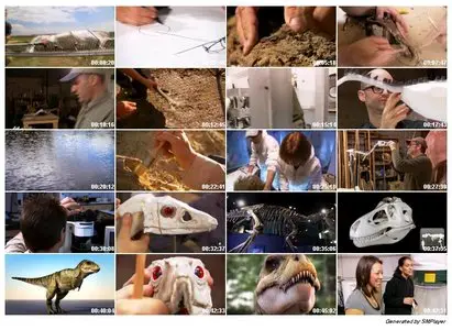 National Geographic Dinosaurs - Reconstructing T-Rex (2009)
