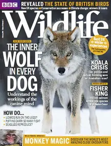 BBC Wildlife - February 2014