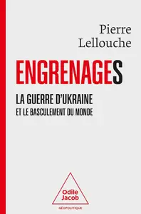 Engrenages - Pierre Lellouche