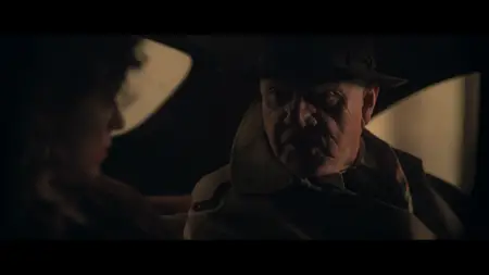 The Partisan (2024)