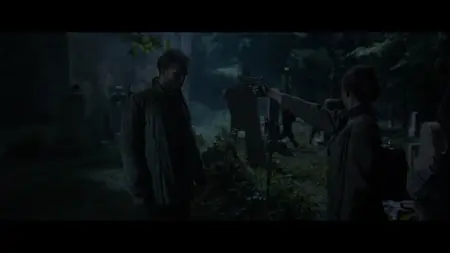 The Partisan (2024)