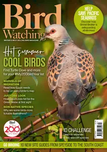Bird Watching UK - July 2025