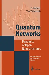 Quantum Networks: Dynamics of Open Nanostructures