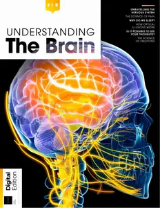 Understanding The Brain - 3rd Edition - 1 May 2025