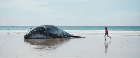 Whale Nation (2023)