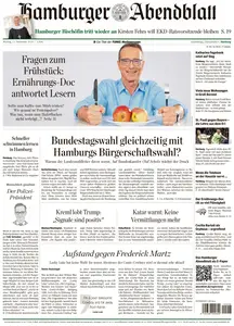 Hamburger Abendblatt  - 11 November 2024