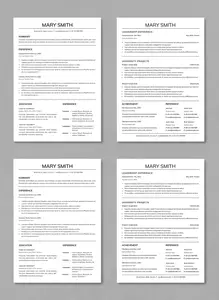 Professional Simple Resume Template 761170507