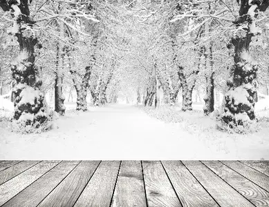 Winter Backgrounds #2