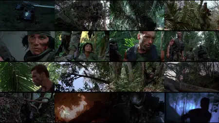 Predator (1987)