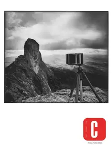 Carcara Photo Art - Winter 2024-2025