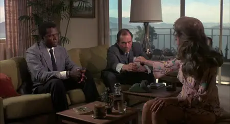 The Organization (1971) [MultiAudio]