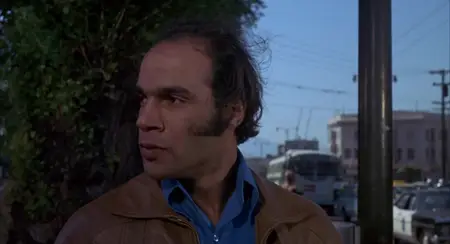 The Organization (1971) [MultiAudio]