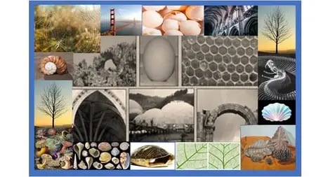 Structural Sense :Exploring Natural And Man-Made Forms