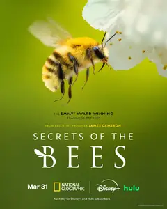 Secrets of the Bees (2026)