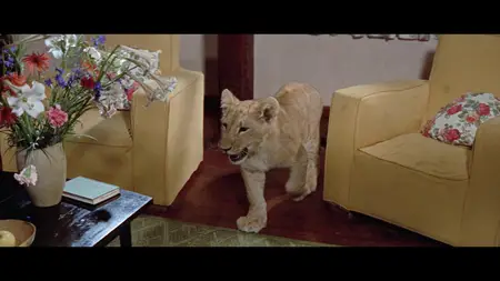 Born Free (1966)