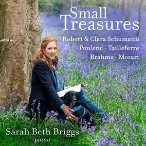 Sarah Beth Briggs - Small Treasures (2025)
