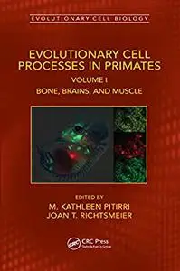 Evolutionary Cell Processes in Primates: Bone, Brains, and Muscle, Volume I