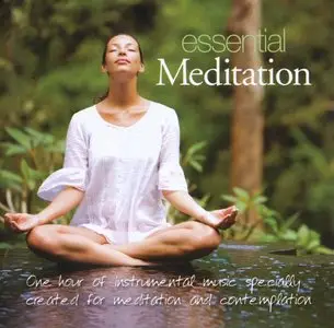 Patrick Kelly - Essential Meditation