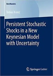 Persistent Stochastic Shocks in a New Keynesian Model with Uncertainty (Repost)