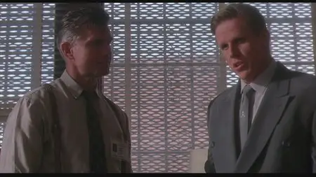 Predator 2 (1990)