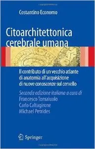 Citoarchitettonica cerebrale umana