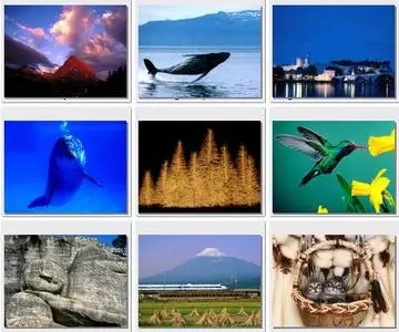 WebShots Collection. Part 3