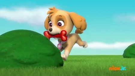 Paw Patrol S05E01