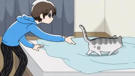 Nights with a Cat - 60