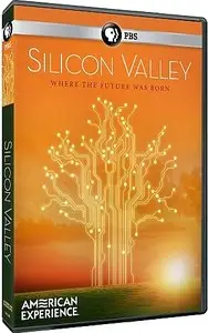 PBS American Experience - Silicon Valley (2013)