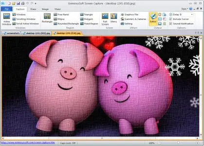 EximiousSoft Screen Capture 2.10