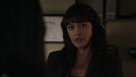 Blue Bloods (2010–2014)