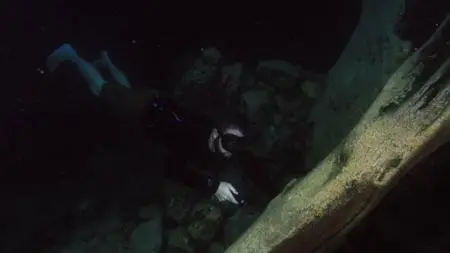 Extinct or Alive S02E04
