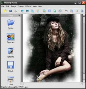 AMS Software Framing Studio 2.95