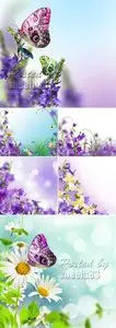Stock Photo - Spring Flowers