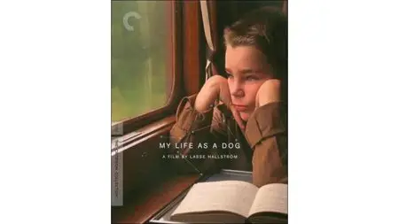 Mitt liv som hund / My Life as a Dog (1985) [The Criterion Collection]