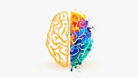 Certification in Color Psychology
