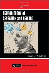 Neurobiology of Sensation and Reward (Frontiers in Neuroscience)