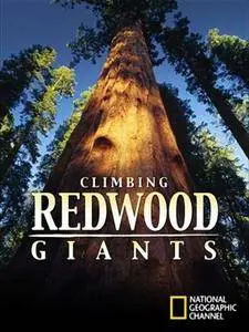 National Geographic - Explorer: Climbing Redwood Giants (2009)