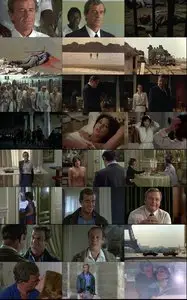 The Professional (1981)